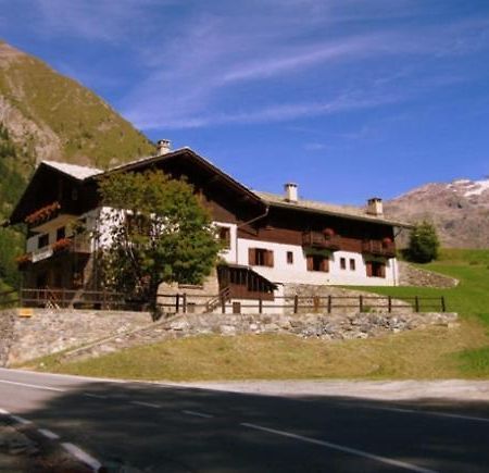 Hotel Lysjoch Gressoney-la-Trinité Dış mekan fotoğraf