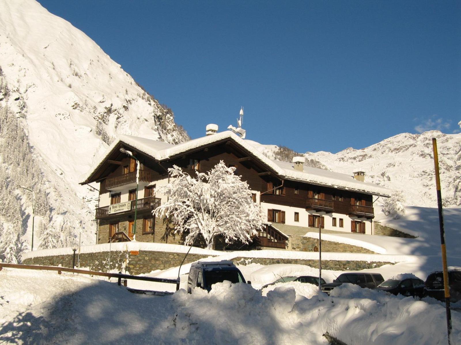 Hotel Lysjoch Gressoney-la-Trinité Dış mekan fotoğraf