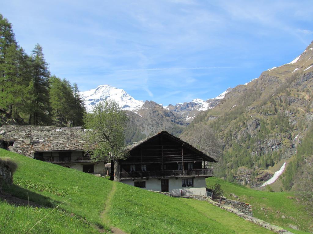Hotel Lysjoch Gressoney-la-Trinité Dış mekan fotoğraf